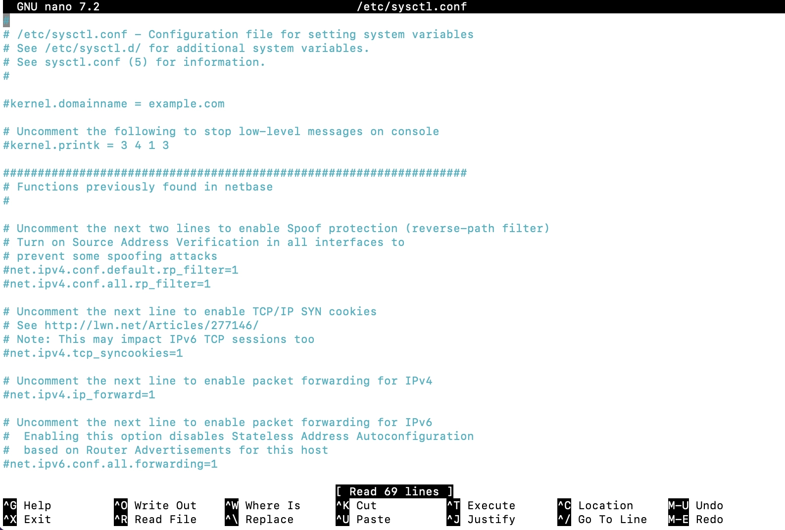 nano sysctl 