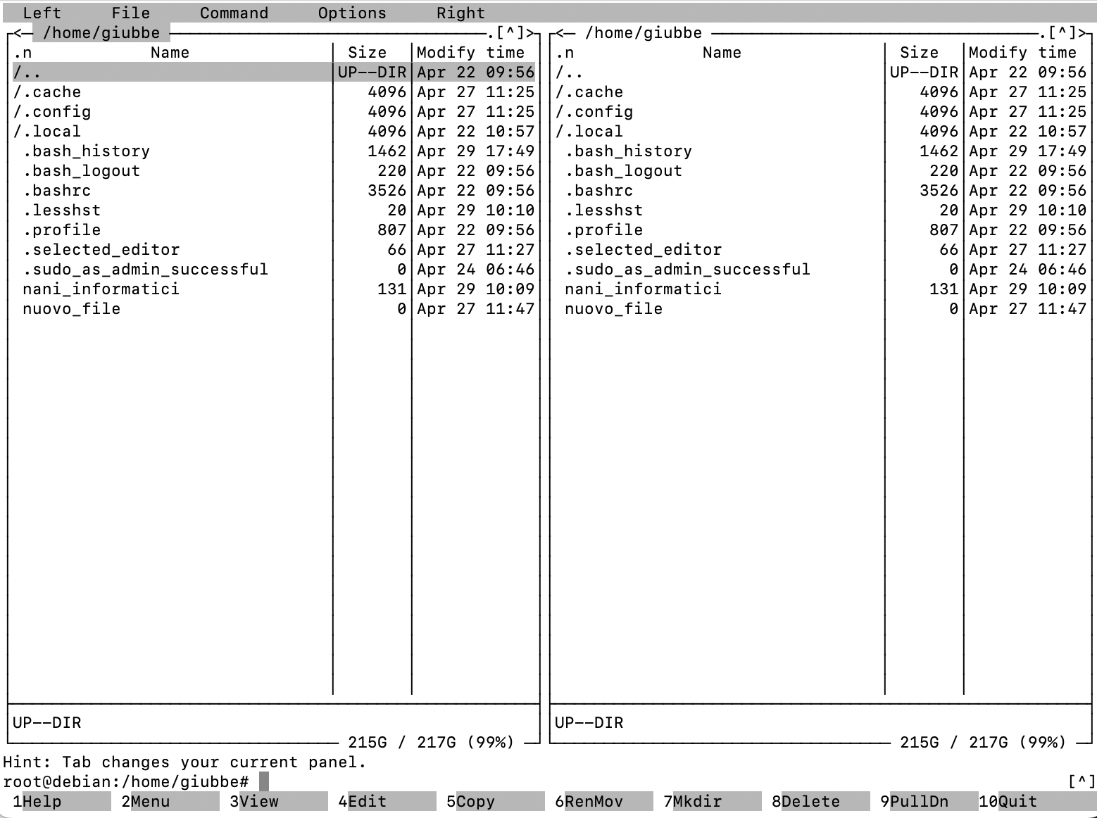 install nano