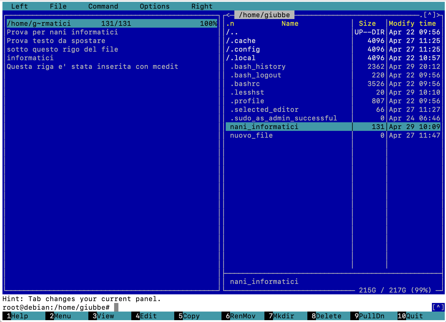 install nano