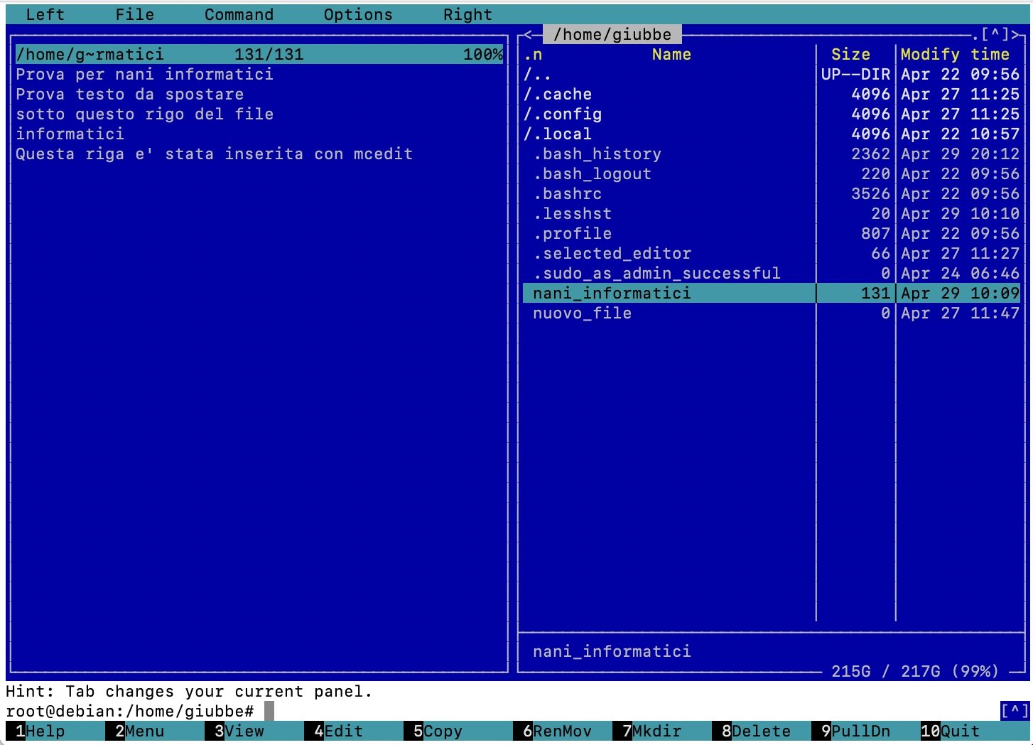 install nano
