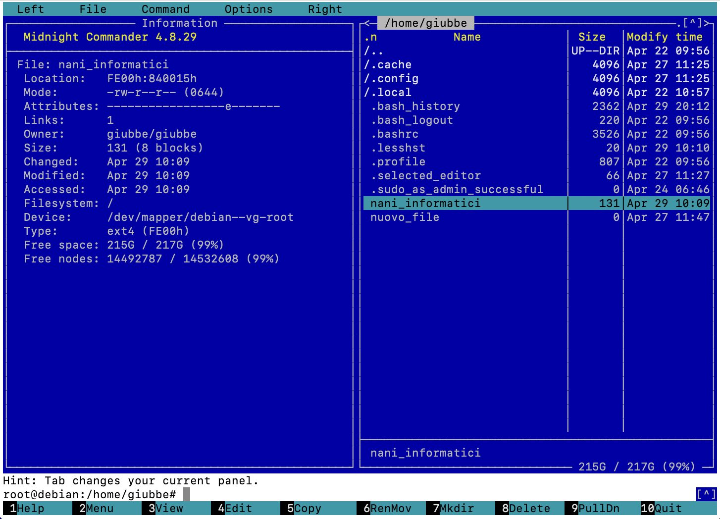 install nano