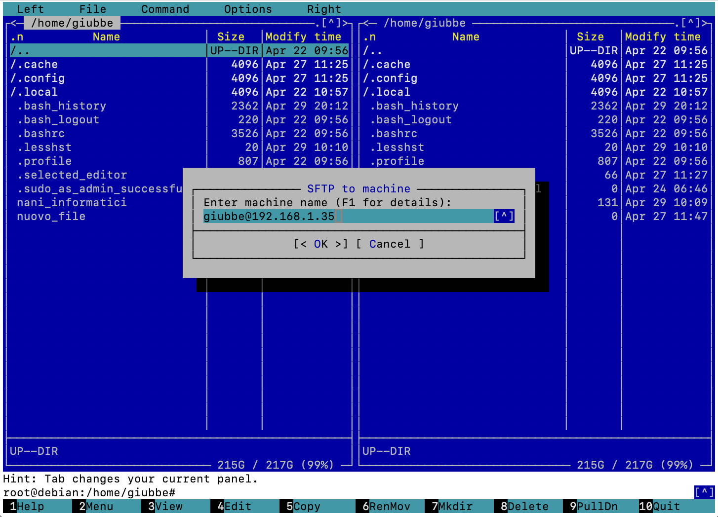 install nano