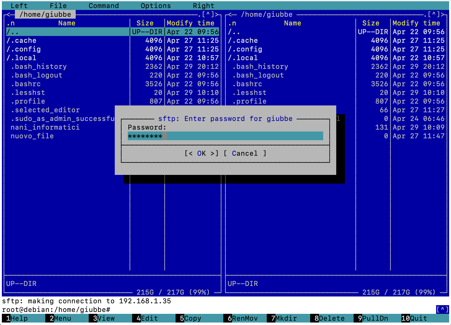 install nano