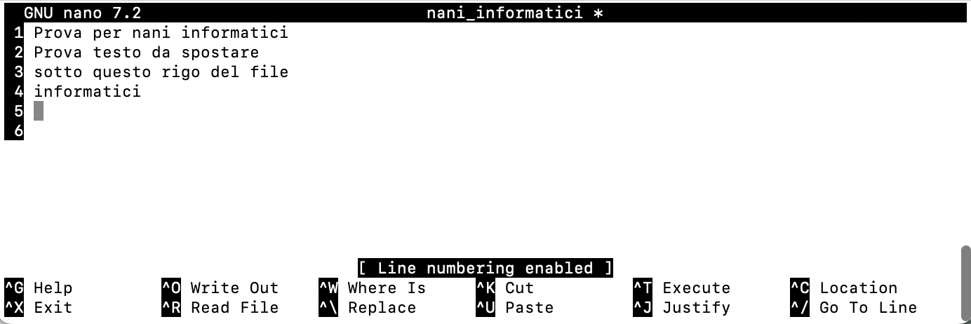 righe numerate