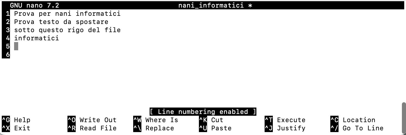 righe numerate